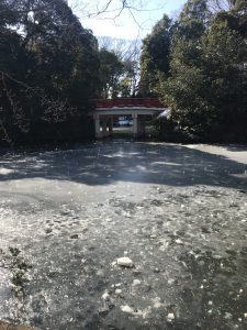大宮氷川神社の凍った池