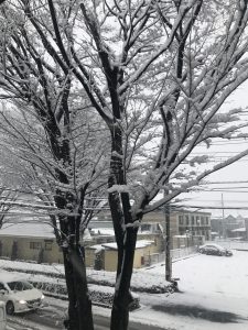 さいたま市の大雪