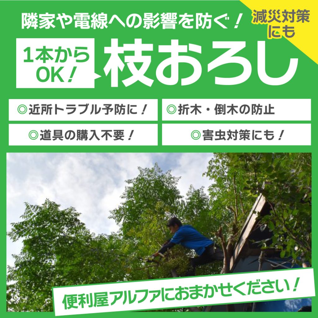 隣家や電線への影響を防ぐ！今こそ「枝おろし」のすすめ | さいたま市