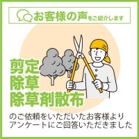 便利屋アルファの剪定、除草、除草剤