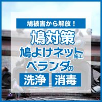 鳩対策