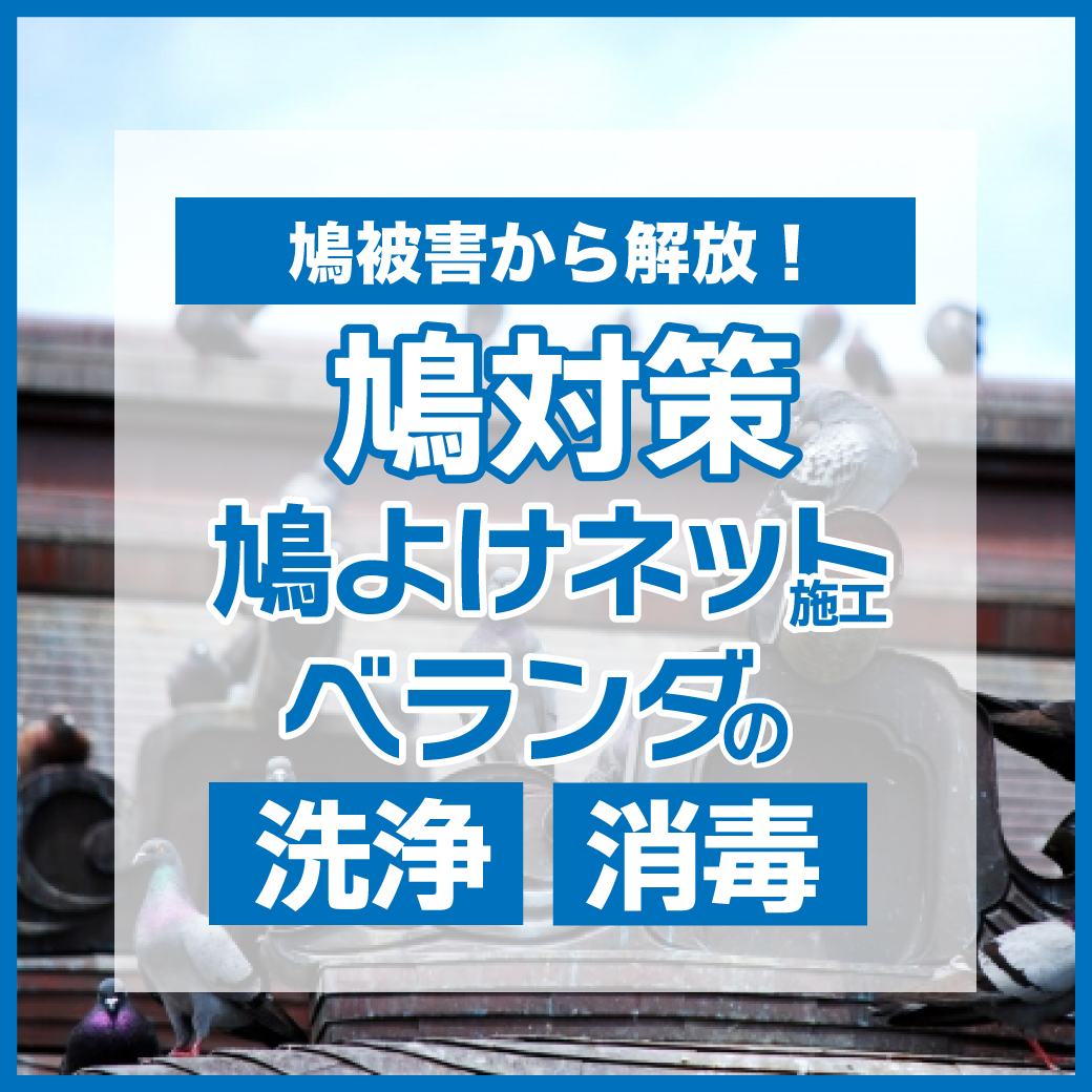 鳩対策