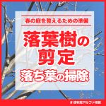 冬の庭木剪定